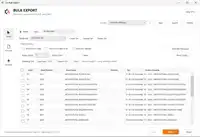 CA Bulk Exporter screenshot